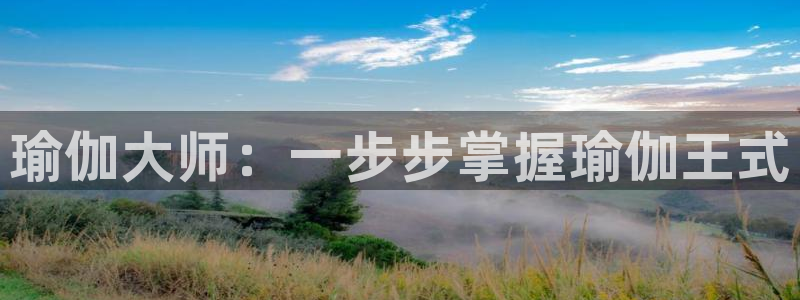 欧洲杯下单平台官网