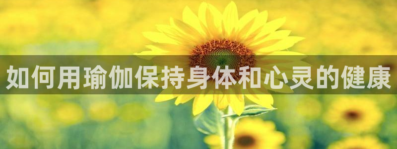 买足球平台哪个比较好
