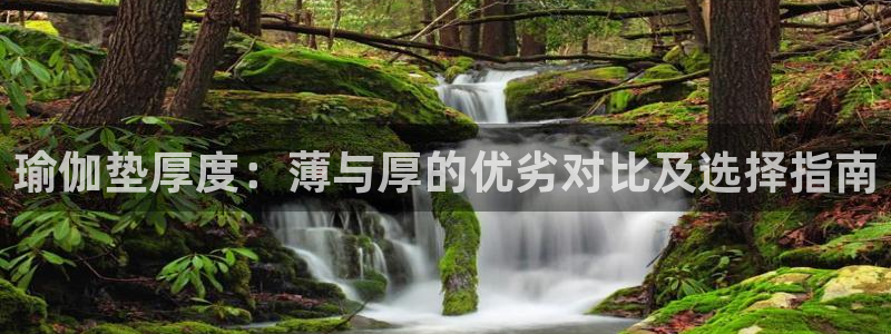 欧洲杯竞猜软件