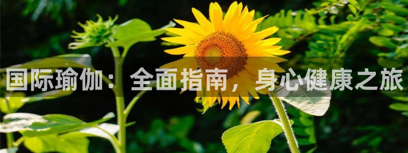 2024欧洲杯全部赛程