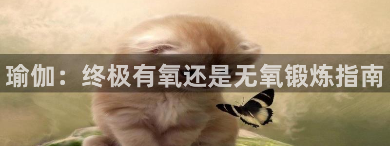 买足球平台哪个比较好