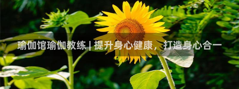 欧洲杯可以买冠亚军吗