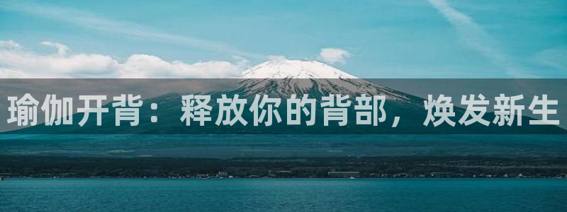 买足球平台哪个比较好