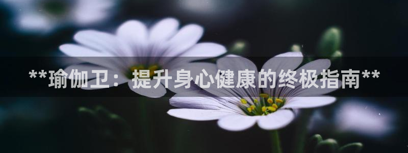 欧洲杯竞猜网站