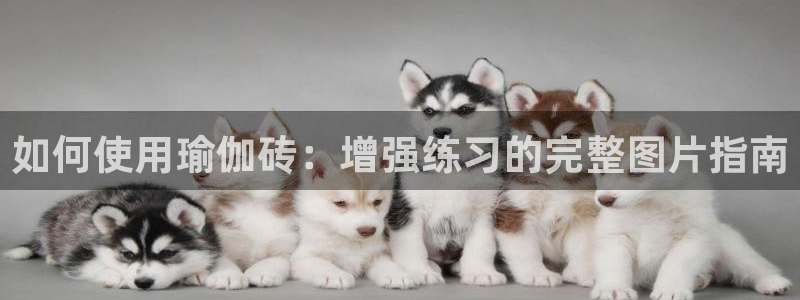 2024欧洲杯官方网站首页