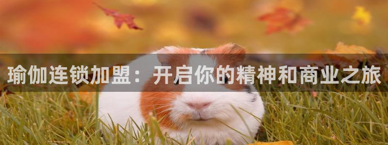 welcome欧洲杯开户