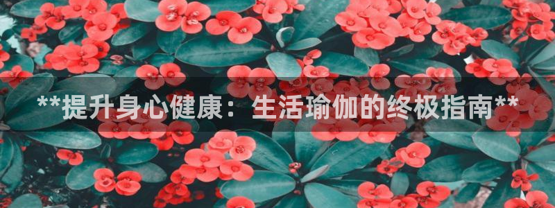 网上哪个平台可以买足球