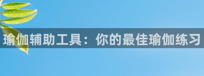 欧洲杯投注推荐网站