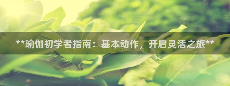 2024欧洲杯买球推荐