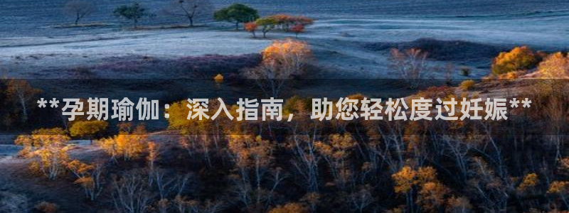 欧洲杯决赛彩票网上购买