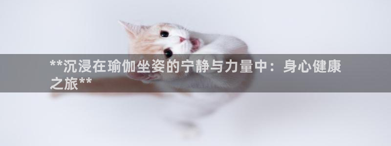 2024欧洲杯官方网站首页