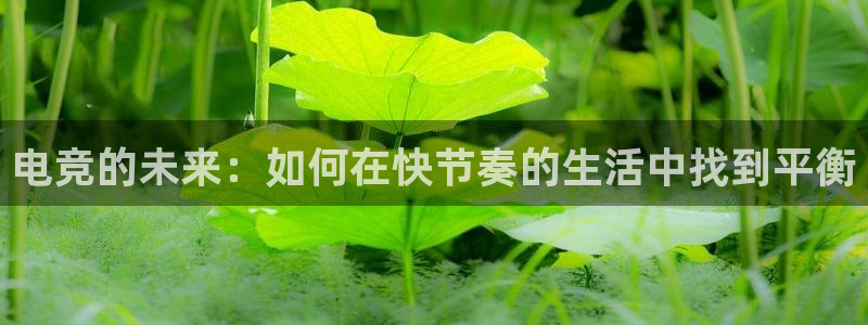 威客电竞集团：电竞的未来：如何在快节奏的生活中找到平衡