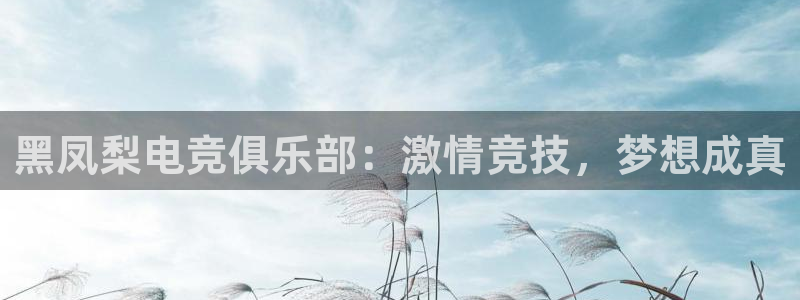 威客电竞 optic：黑凤梨电竞俱乐部：激情竞技，梦想成真