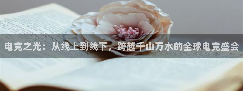 威客电竞吧官网安卓版