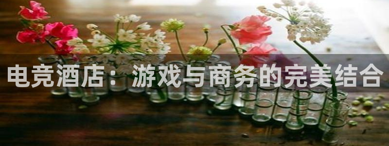 威客电竞客