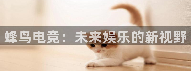 威客电竞吧官网安卓版：蜂鸟电竞：未来娱乐的新视野