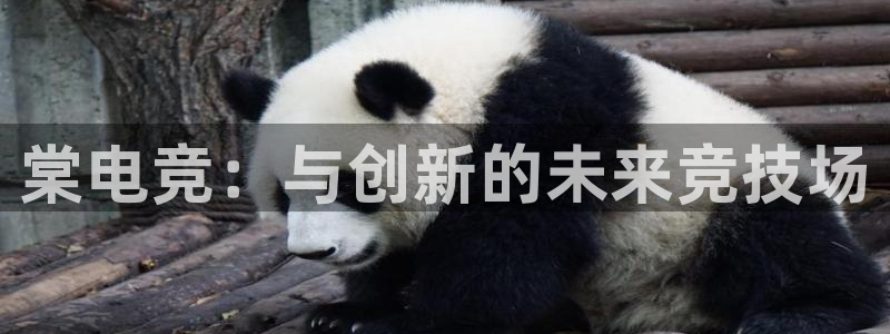 vk威客电竞：棠电竞：与创新的未来竞技场