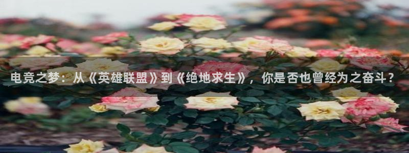 威客电竞测速：电竞之梦：从《英雄联盟》到《绝地求生》，你是否也曾经为之奋斗？