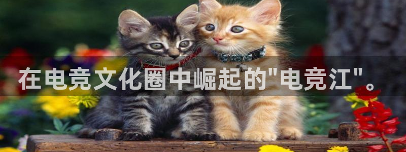 vkgame威客电竞：在电竞文化圈中崛起的\