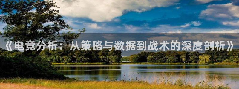 威客电竞客服：《电竞分析：从策略与数据到战术的深度剖析》