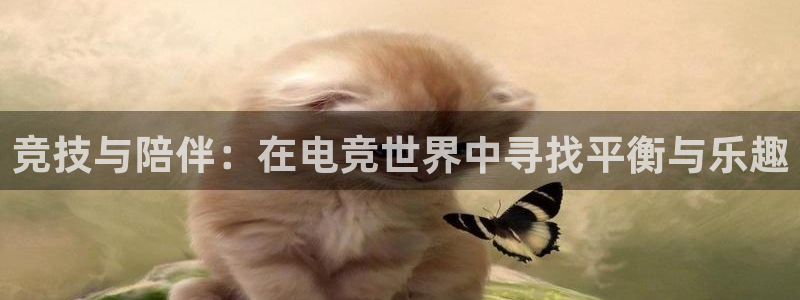 威客电竞客：竞技与陪伴：在电竞世界中寻找平衡与乐趣