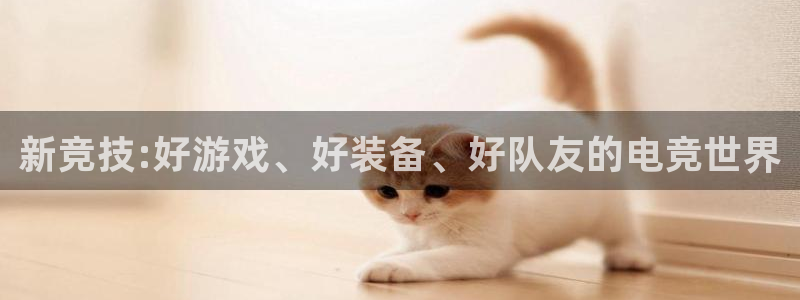 威客电竞 optic：新竞技:好游戏、好装备、好队友的电竞世界