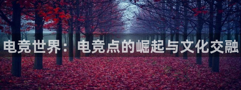 威客电竞VKGAME：电竞世界：电竞点的崛起与文化交融