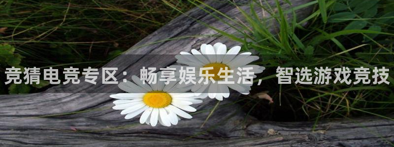 威客电竞酒店：竞猜电竞专区：畅享娱乐生活，智选游戏竞技