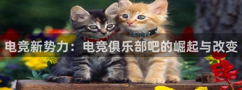 威客电竞·(中国)VKGAMING：电竞新势力：电竞俱乐部吧的崛起与改变