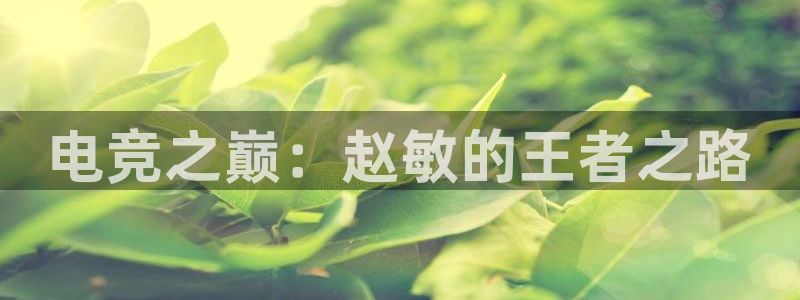 威客电竞客服：电竞之巅：赵敏的王者之路