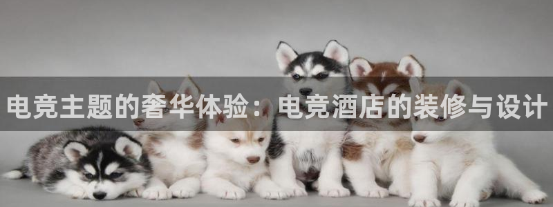 威客电竞官网登录入口：电竞主题的奢华体验：电竞酒店的装修与设计