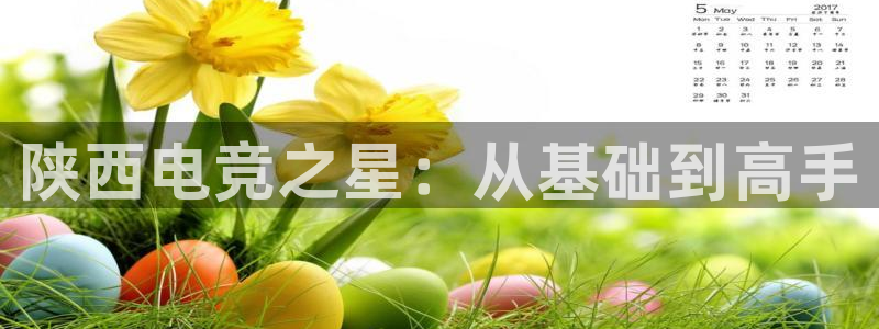 威客电竞VKGAME：陕西电竞之星：从基础到高手