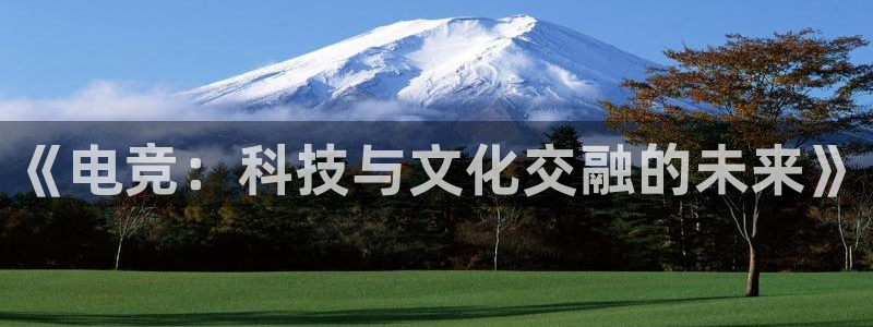 威客电竞官网登录入口：《电竞：科技与文化交融的未来》
