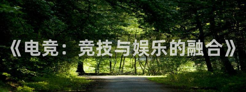 威客电竞官网登录入口：《电竞：竞技与娱乐的融合》