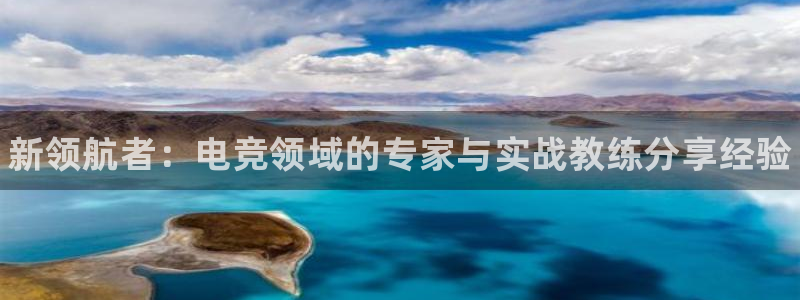 威客电竞酒店：新领航者：电竞领域的专家与实战教练分享经验