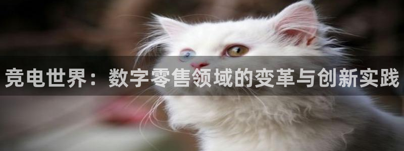 vk威客电竞：竞电世界：数字零售领域的变革与创新实践