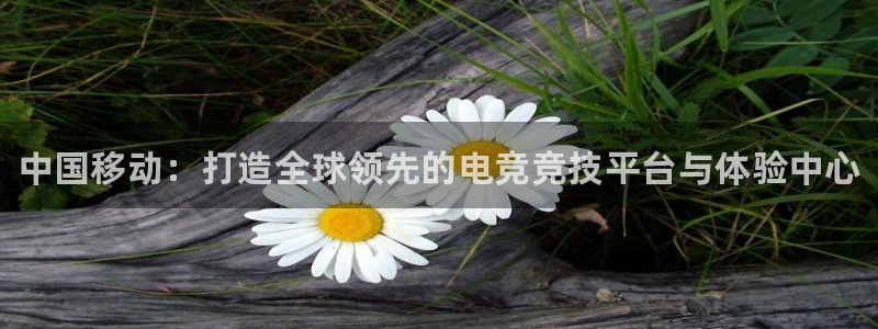 威客电竞·(中国)VKGAMING：中国移动：打造全球领先的电竞竞技平台与体验中心