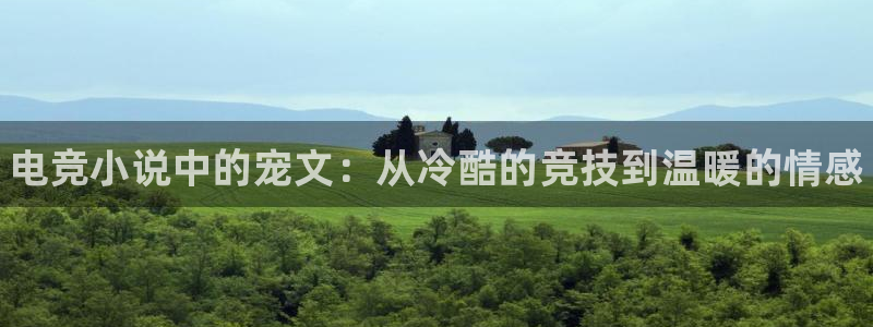 vkgame威客电竞：电竞小说中的宠文：从冷酷的竞技到温暖的情感