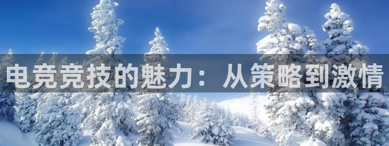 vkgame威客电竞官网：电竞竞技的魅力：从策略到激情