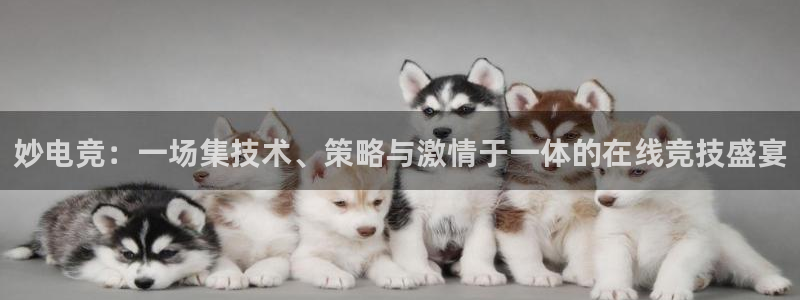 威客电竞官网下载：妙电竞：一场集技术、策略与激情于一体的在线竞技盛宴