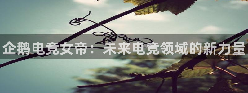 威客电竞：企鹅电竞女帝：未来电竞领域的新力量