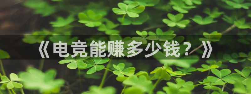 vkgame威客电竞：《电竞能赚多少钱？》