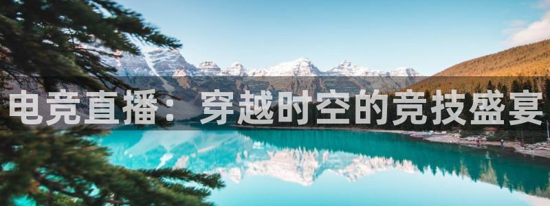 威客电竞客服：电竞直播：穿越时空的竞技盛宴