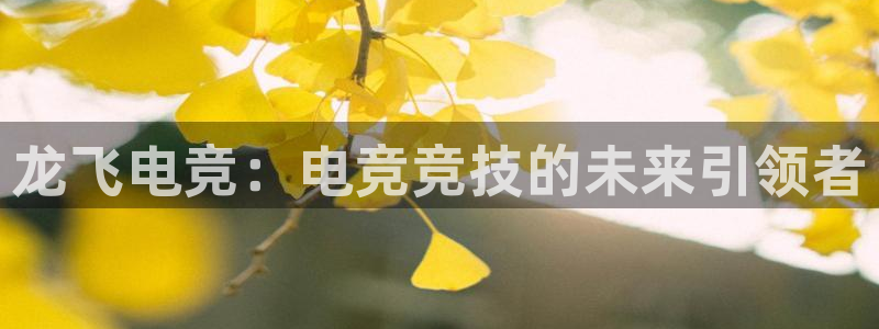 威客电竞官网登录入口：龙飞电竞：电竞竞技的未来引领者