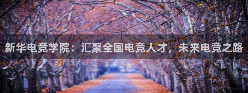 vkgame 威客电竞：新华电竞学院：汇聚全国电竞人才，未来电竞之路