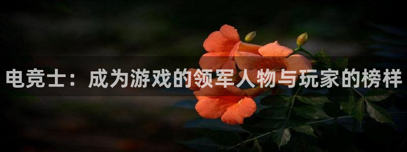 威客电竞酒店：电竞士：成为游戏的领军人物与玩家的榜样