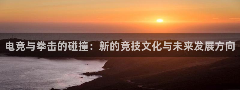 威客电竞测速：电竞与拳击的碰撞：新的竞技文化与未来发展方向