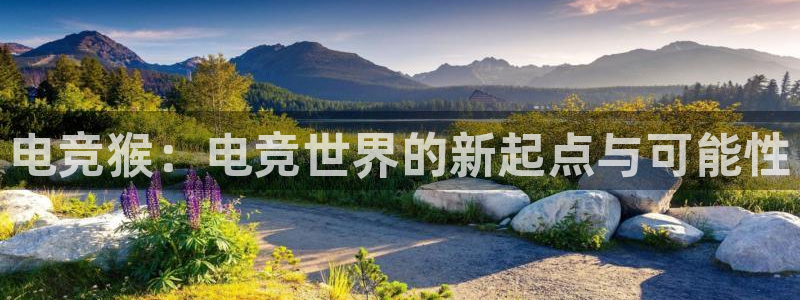 威客电竞网页版入口：电竞猴：电竞世界的新起点与可能性
