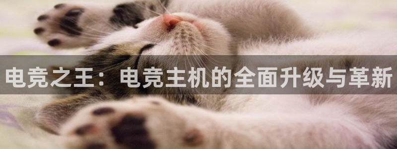 威客电竞官网登录入口：电竞之王：电竞主机的全面升级与革新