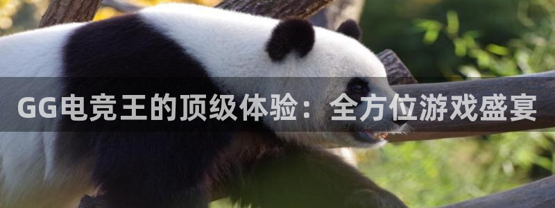 威客电竞测速：GG电竞王的顶级体验：全方位游戏盛宴